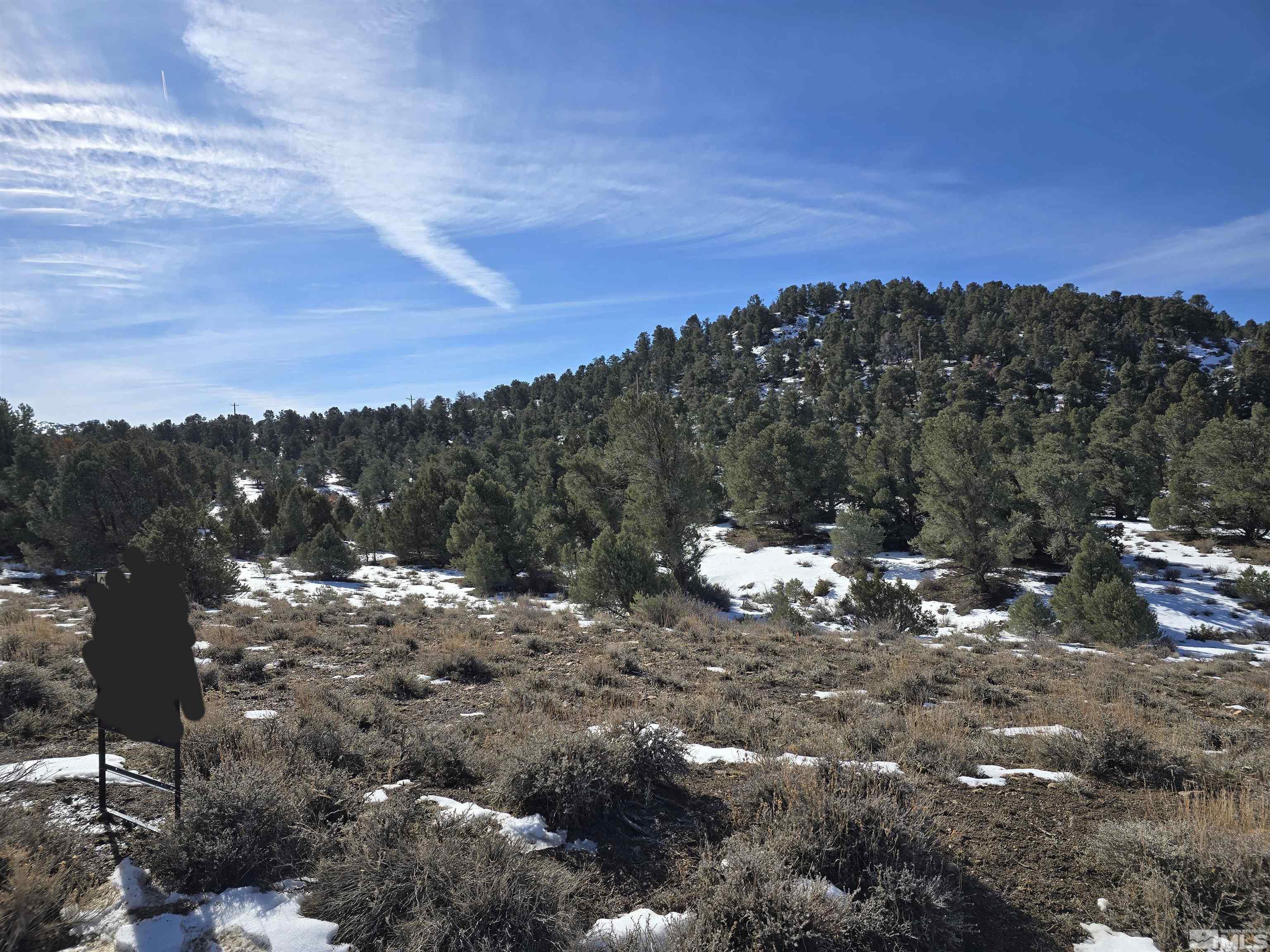 250 Vermillion Road Reno, NV 89521 - Photo 3 of 12 a view of a forest with a tree