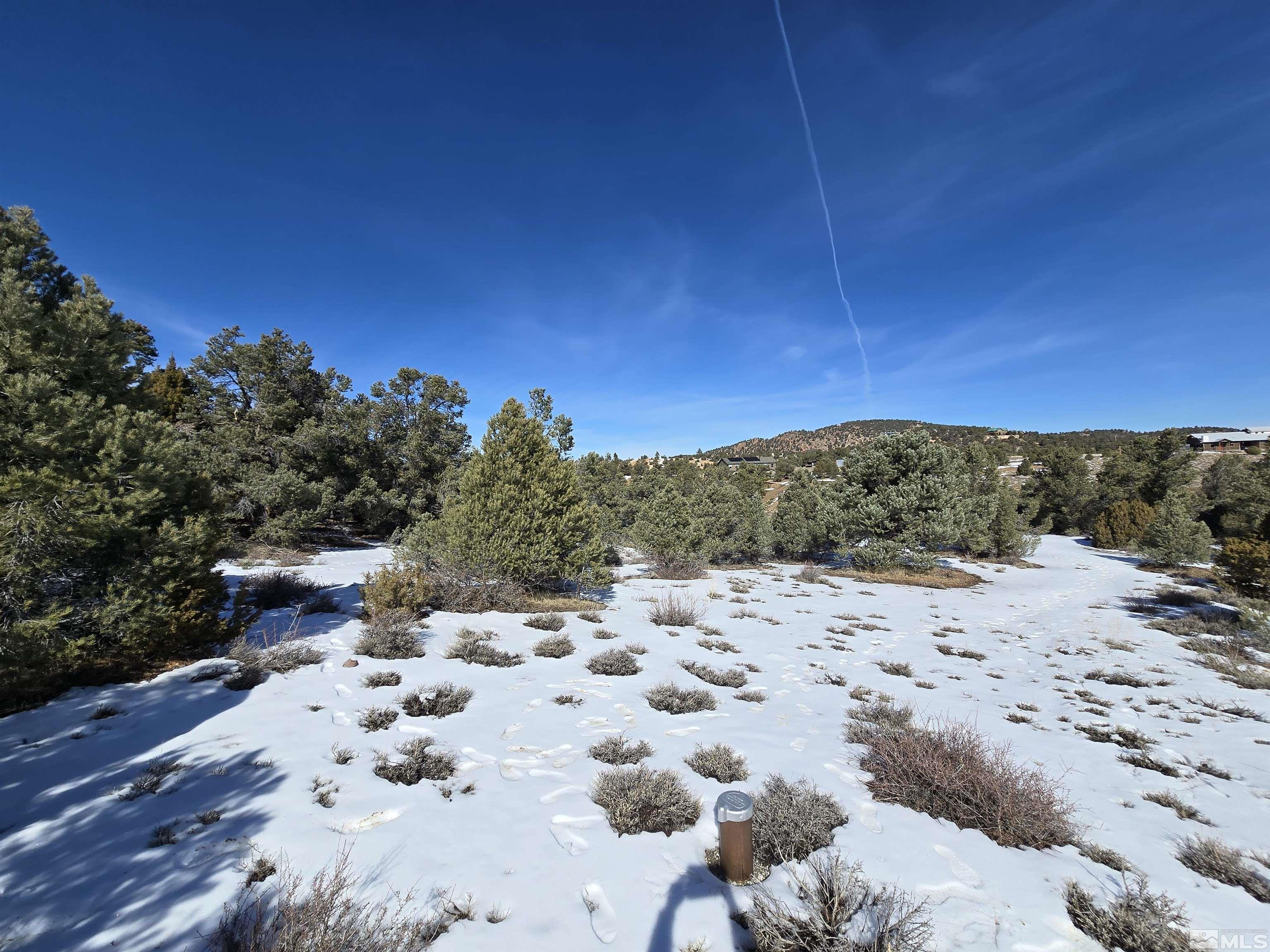 250 Vermillion Road Reno, NV 89521 - Photo 10 of 12 a view of a dry yard with a tree