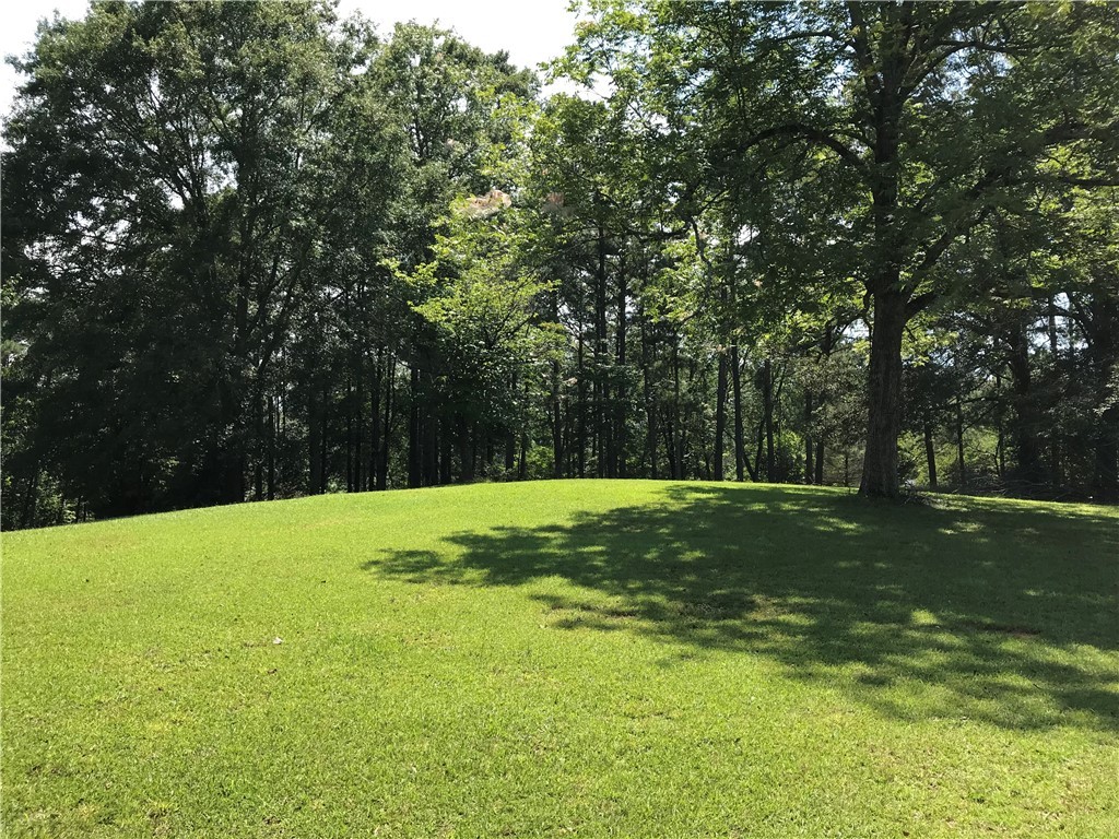 313 Riggins Road Pickens, SC 29671 - Photo 29 of 38