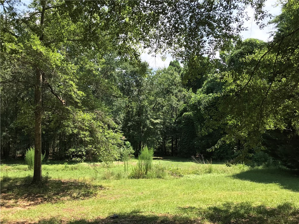 313 Riggins Road Pickens, SC 29671 - Photo 31 of 38
