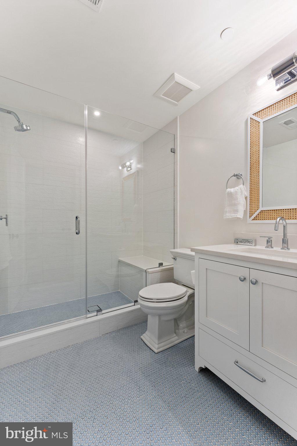 243 10th Street Northeast Washington, DC 20002 - Photo 45 of 73 a bathroom with a sink a toilet and shower