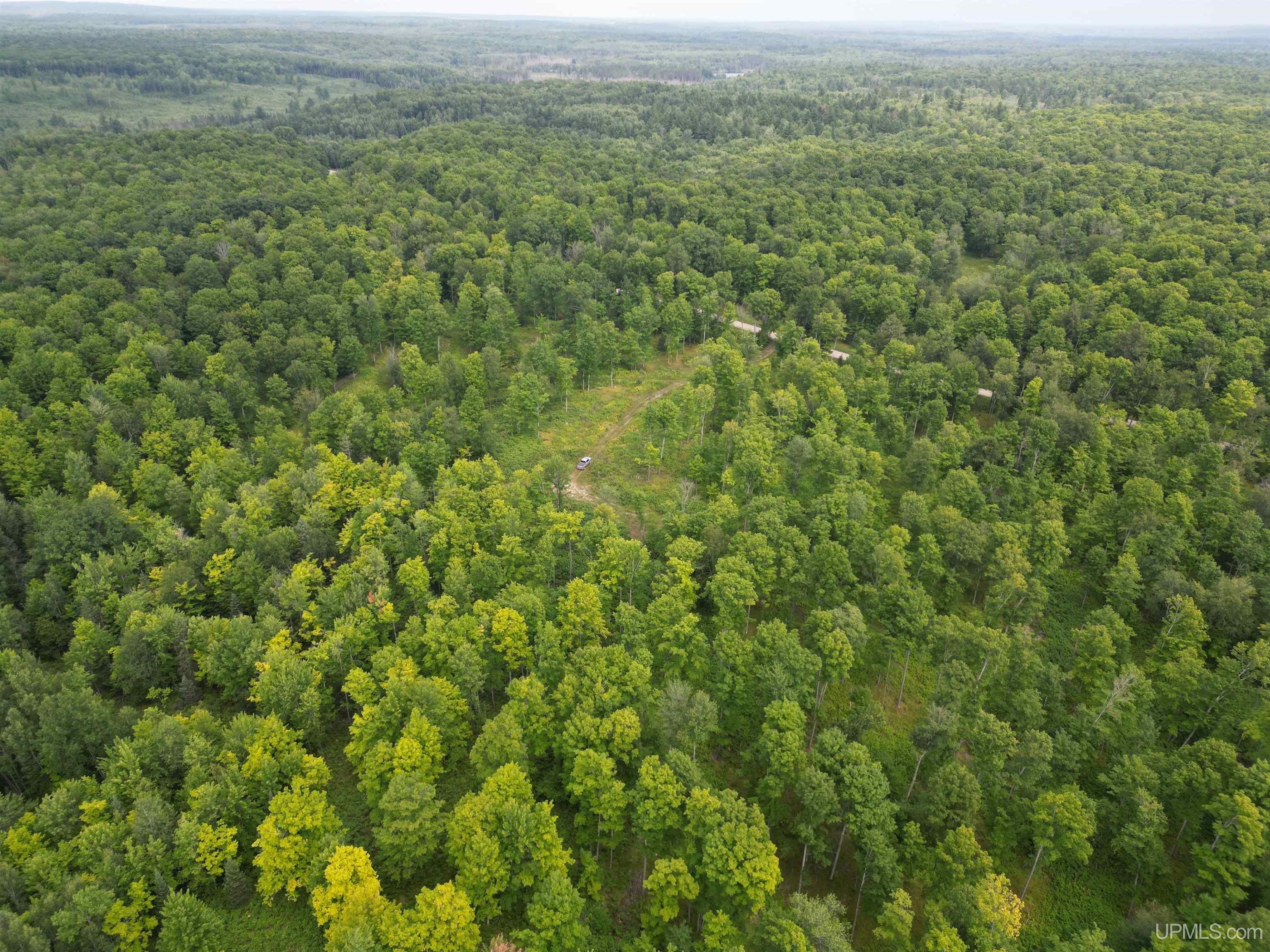 Tbd Camp Five Road Crystal Falls, MI 49920 - Photo 19 of 54 Gallery Image 19