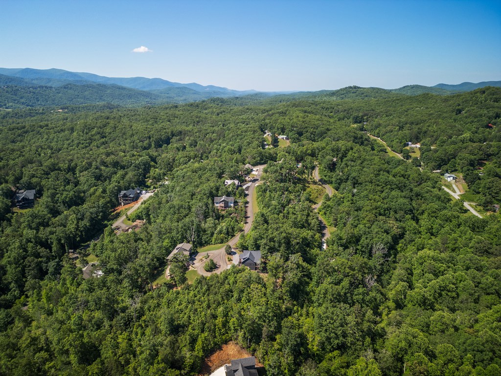 141 Long View Lane Blue Ridge, GA 30513 - Photo 40 of 44