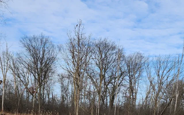 $249,900 | 15734 Buckley Road, Libertyville, IL 60048