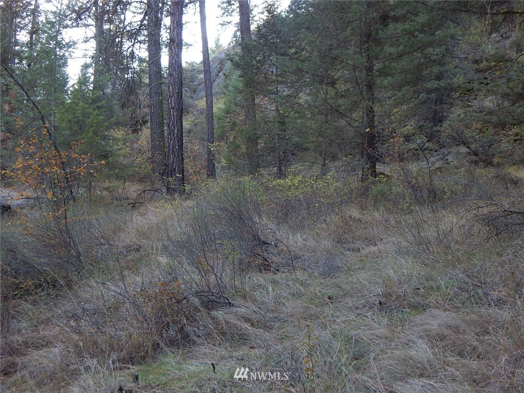 36605 Teel Hill Road North Davenport, WA 99122 - Photo 2 of 15