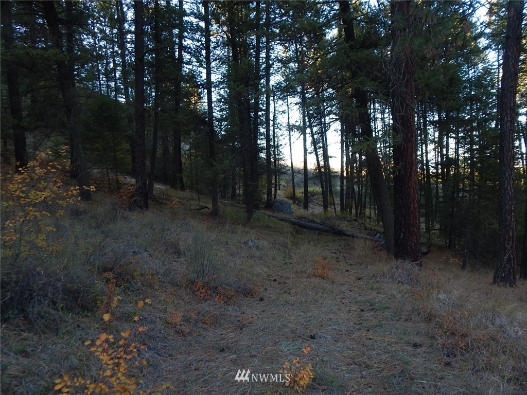36605 Teel Hill Road North Davenport, WA 99122 - Photo 13 of 15