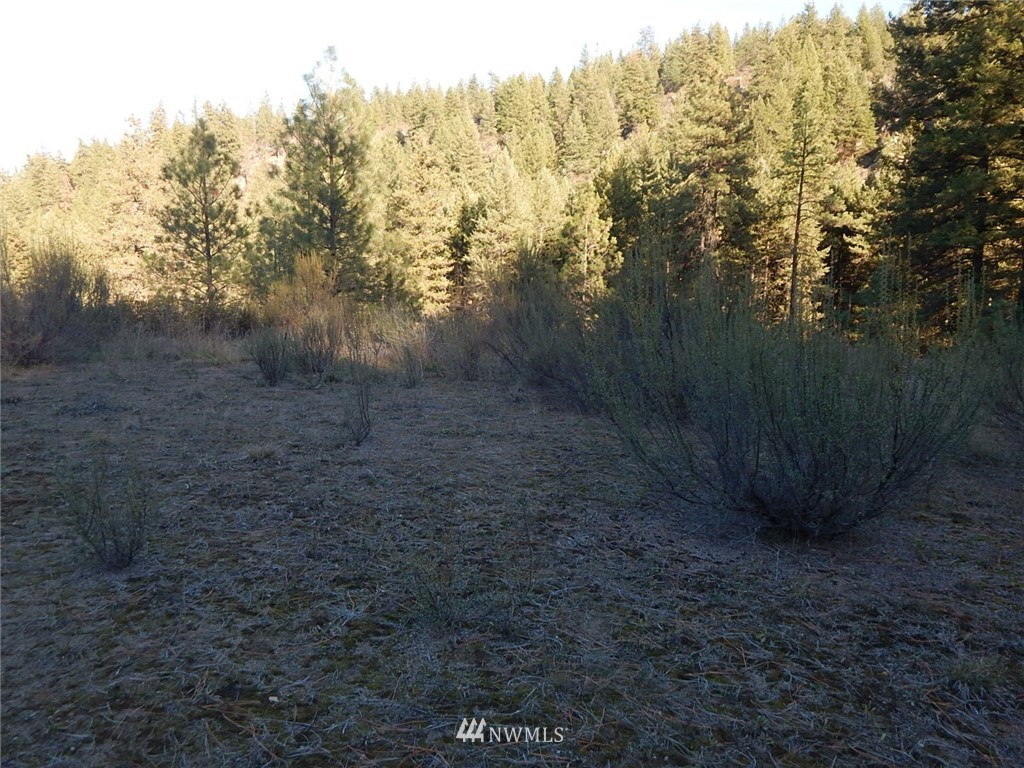 36605 Teel Hill Road North Davenport, WA 99122 - Photo 8 of 15
