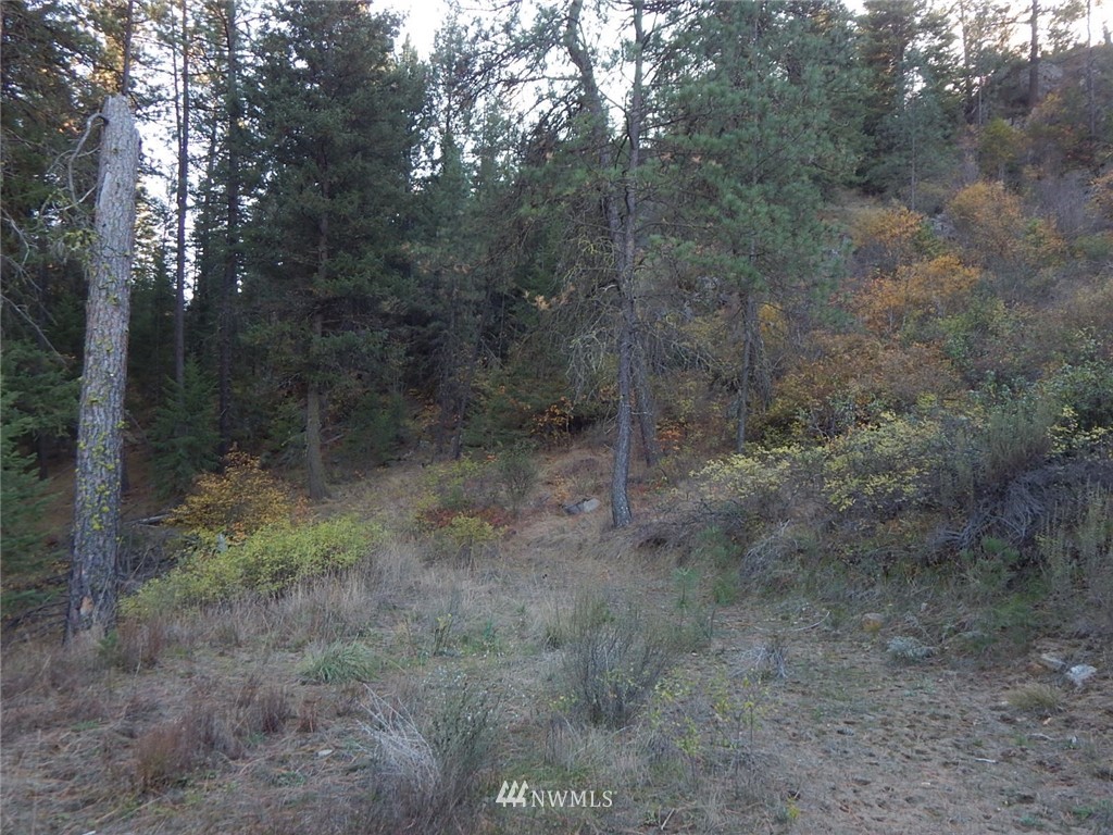 36605 Teel Hill Road North Davenport, WA 99122 - Photo 10 of 15