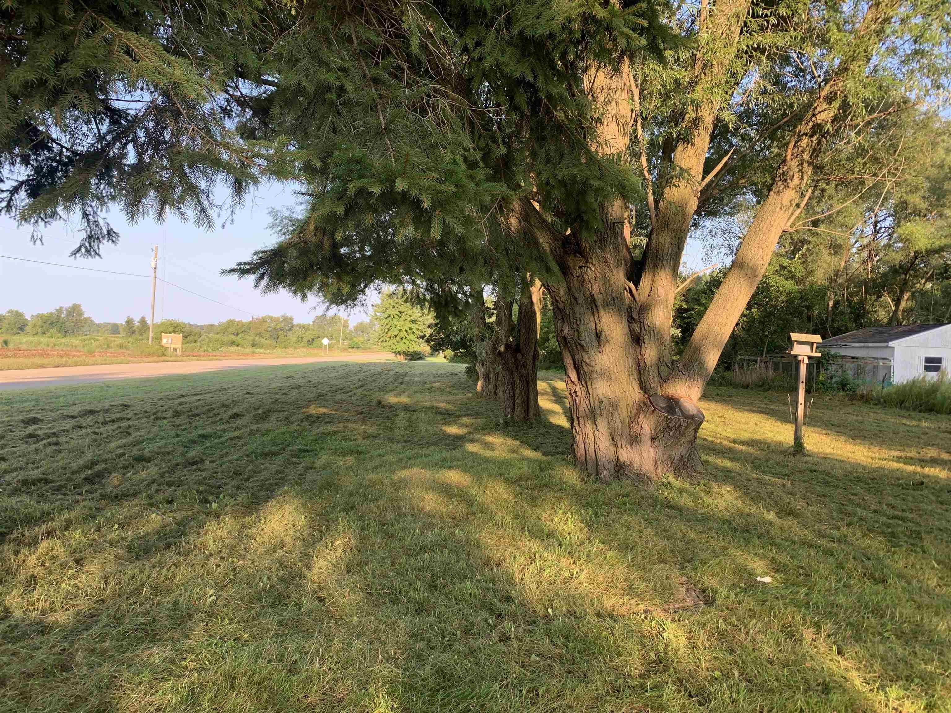 11530 West St Charles Road Sumner, MI 48889 - Photo 4 of 11