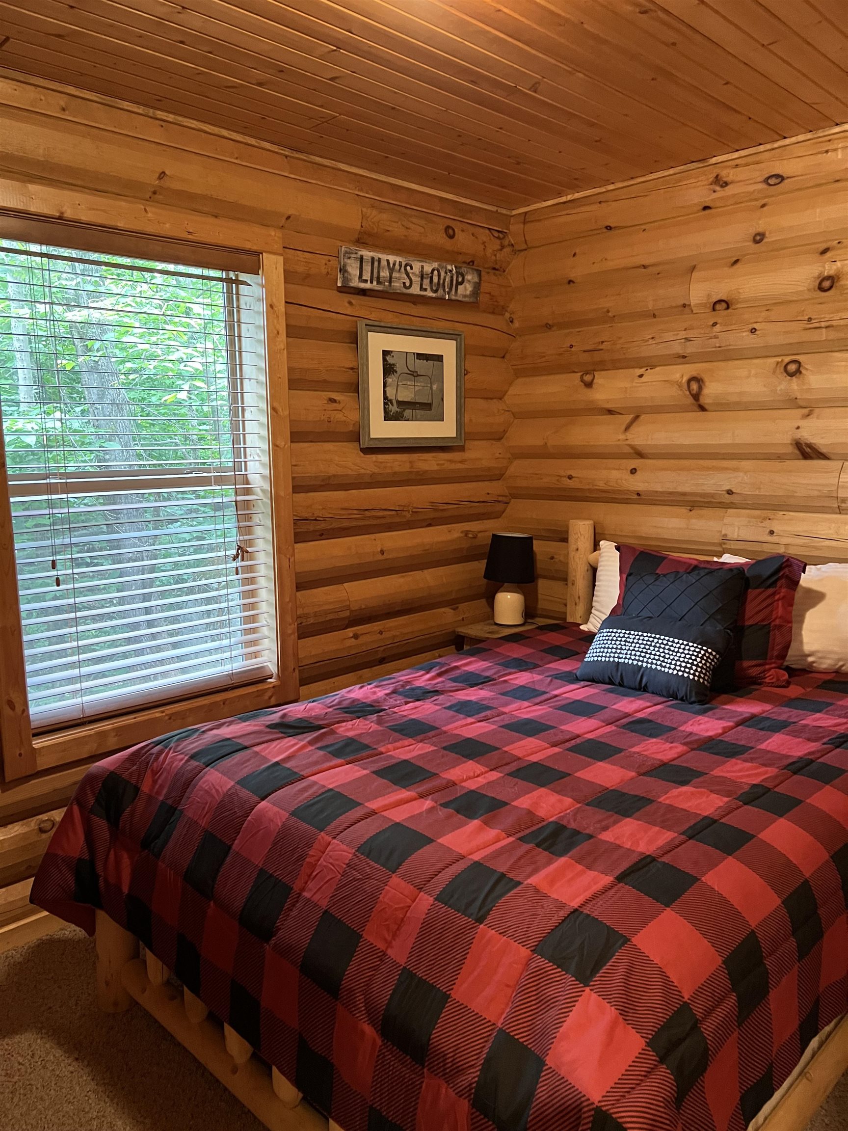 30 Attitash Loop Bartlett, NH 03838 - Photo 11 of 37 Gallery Image 11