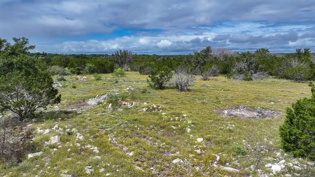a view of a big yard with a large tree