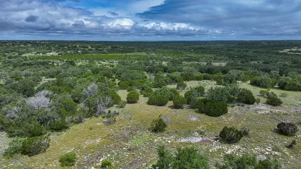 a view of a back yard