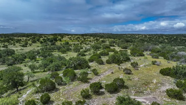 a view of a yard with a street