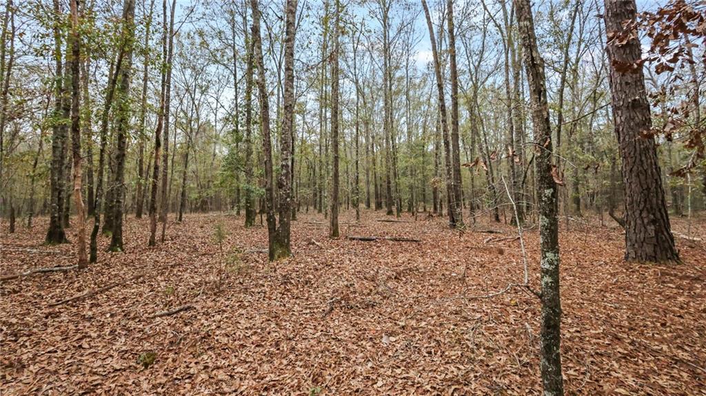 923 Hunter Road Ellaville, GA 31806 - Photo 1 of 1 Gallery Image 1