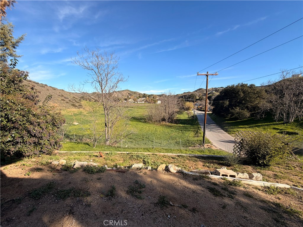 30009 Hunstock Street Castaic, CA 91384 - Photo 22 of 23