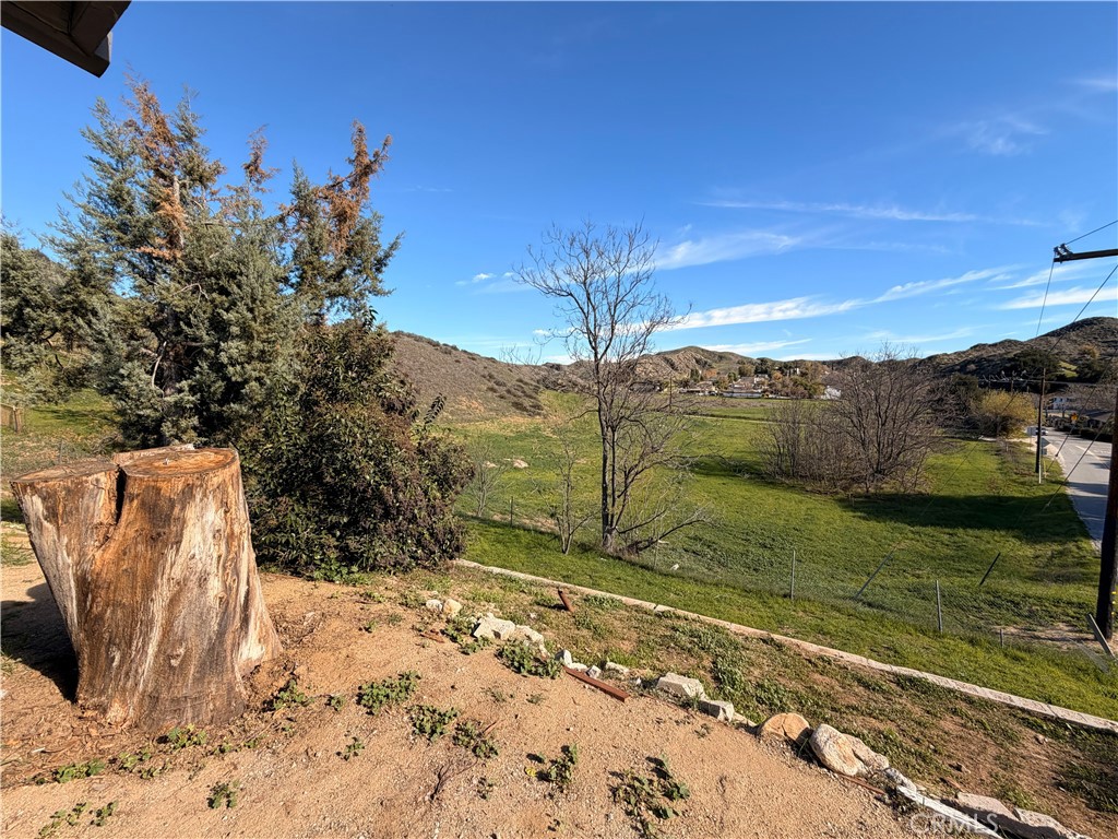 30009 Hunstock Street Castaic, CA 91384 - Photo 23 of 23 a view of a yard with wooden fence