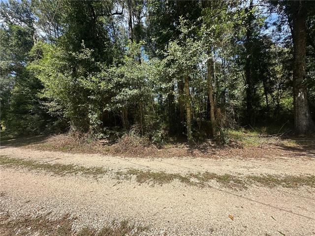 4 Ragusa Road Independence, LA 70443 - Photo 2 of 7