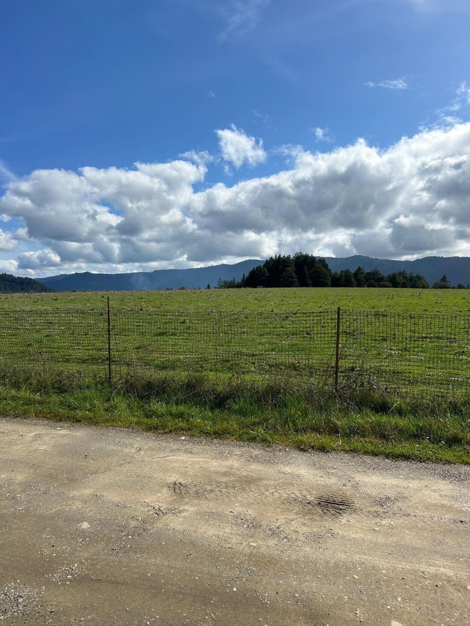 720 Dinsmore Ranch Road Rio Dell, CA 95562 - Photo 7 of 9