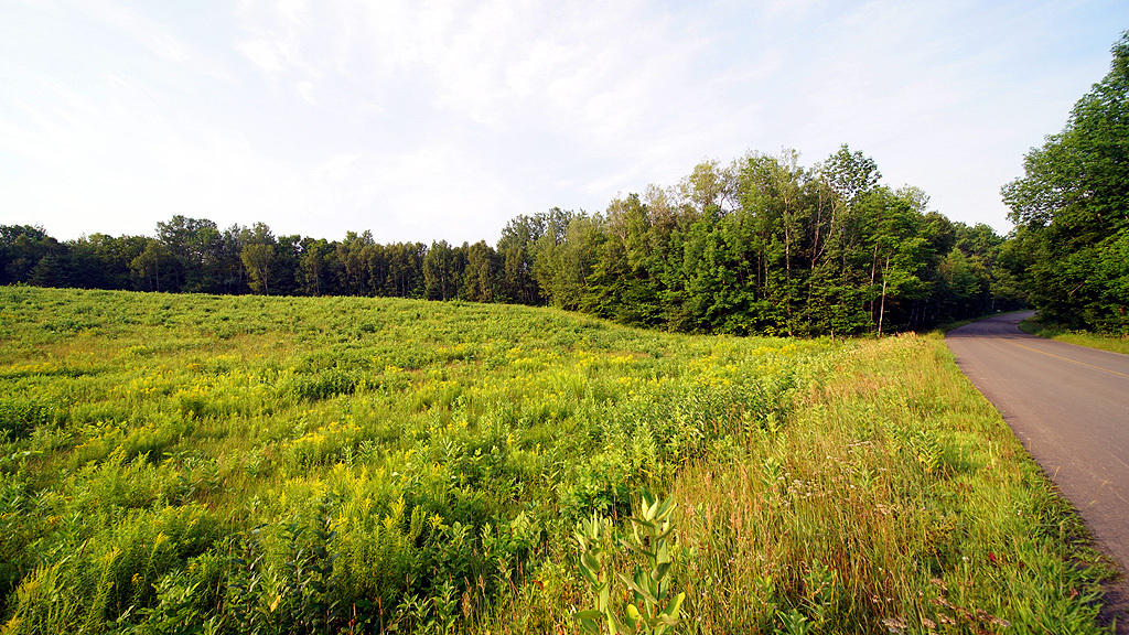 Lot 9-1 New Limerick Road Houlton, ME 04730 - Photo 3 of 40 leisner-maine-land-7