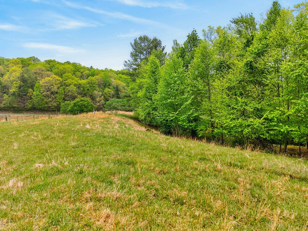 622 Soapstone Road Galax, VA 24333 - Photo 44 of 68 Gallery Image 44