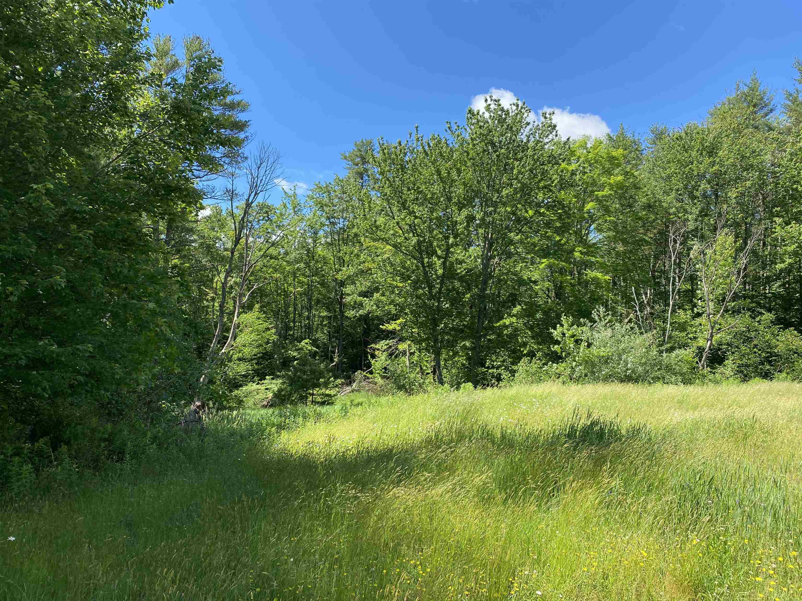 18 Catamount Road Pittsfield, NH 03263 - Photo 3 of 31