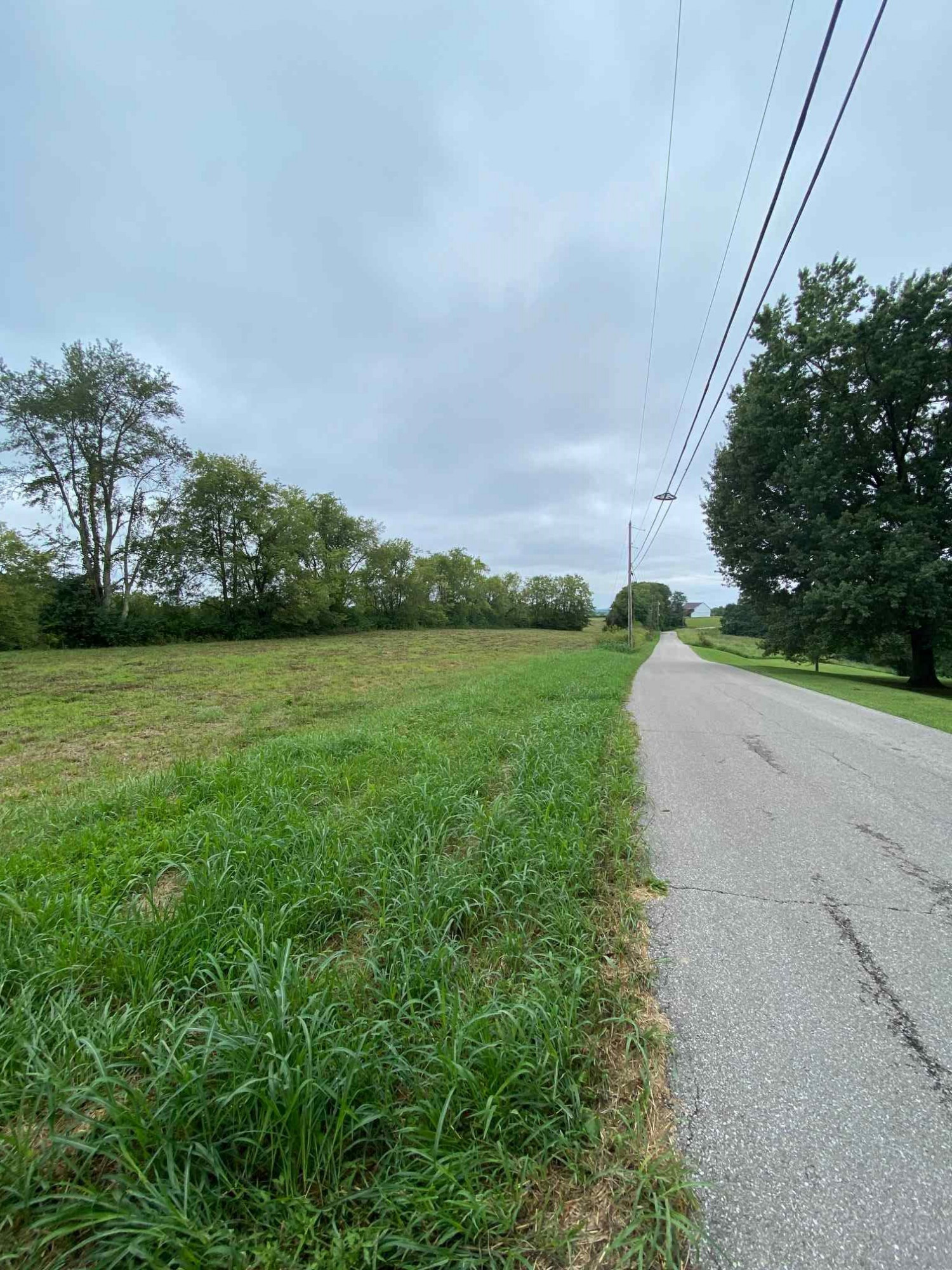 3 Baton Rouge Road Williamstown, KY 41097 - Photo 12 of 25
