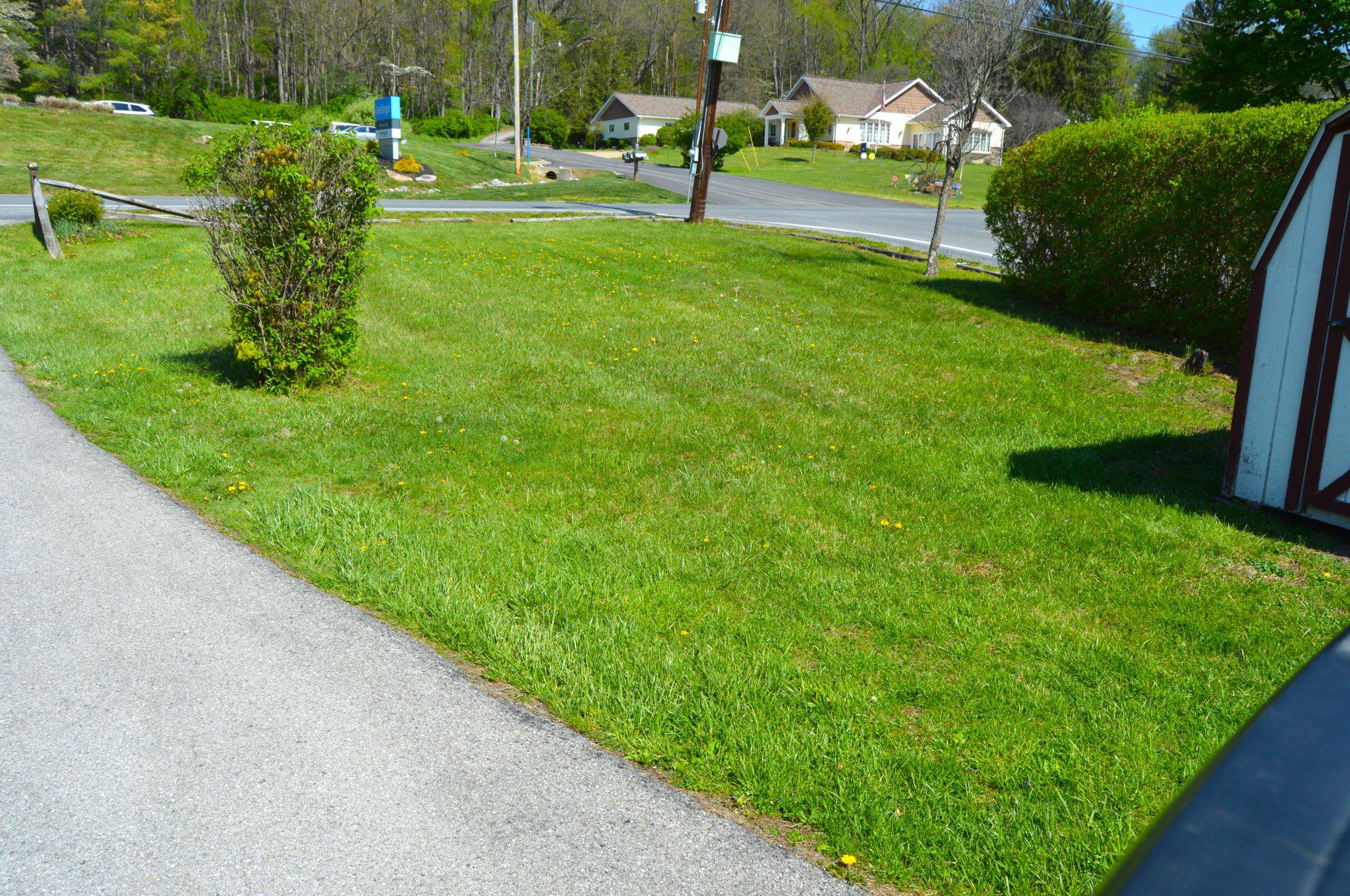 3225 Cold Springs Road Huntingdon, PA 16652 - Photo 4 of 40 Front yard area