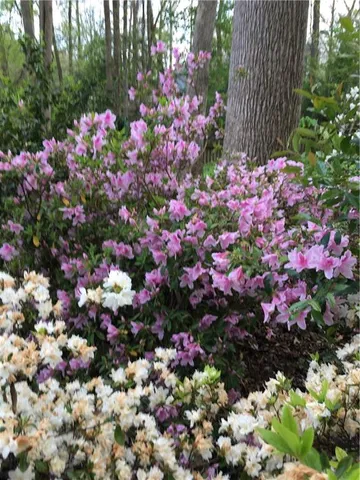 a sign that is sitting on a wooden bench