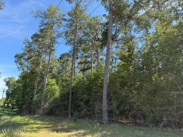 $69,500 | 49 Collins Ms 39428, Collins, MS 39428