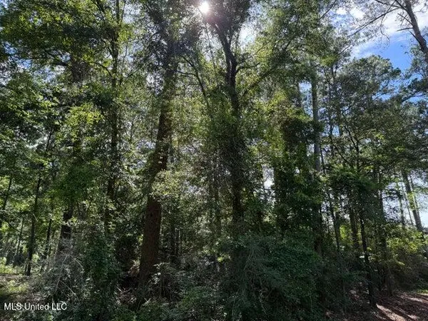 $57,500 | 49 Collins Ms 39428, Collins, MS 39428
