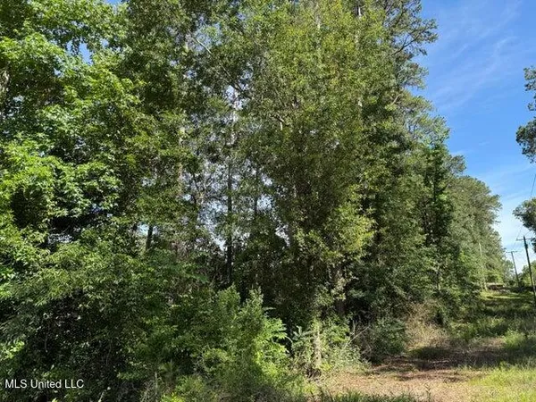 $57,500 | 49 Collins Ms 39428, Collins, MS 39428