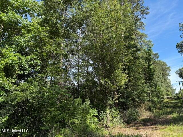 49 Collins Ms 39428 Collins, MS 39428 - Photo 6 of 6 20250613215217298670000000-o