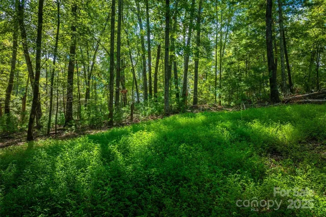 $850,000 | 2205 Black Forest Drive, Unit 28, Marion, NC 28752