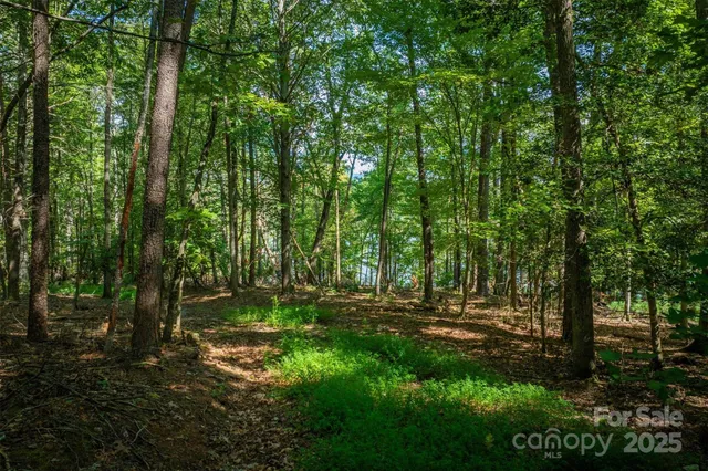 $850,000 | 2205 Black Forest Drive, Unit 28, Marion, NC 28752