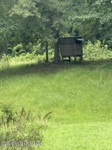 2914 Highway 7 Holcomb, MS 38940 - Photo 27 of 30 Deer Stands
