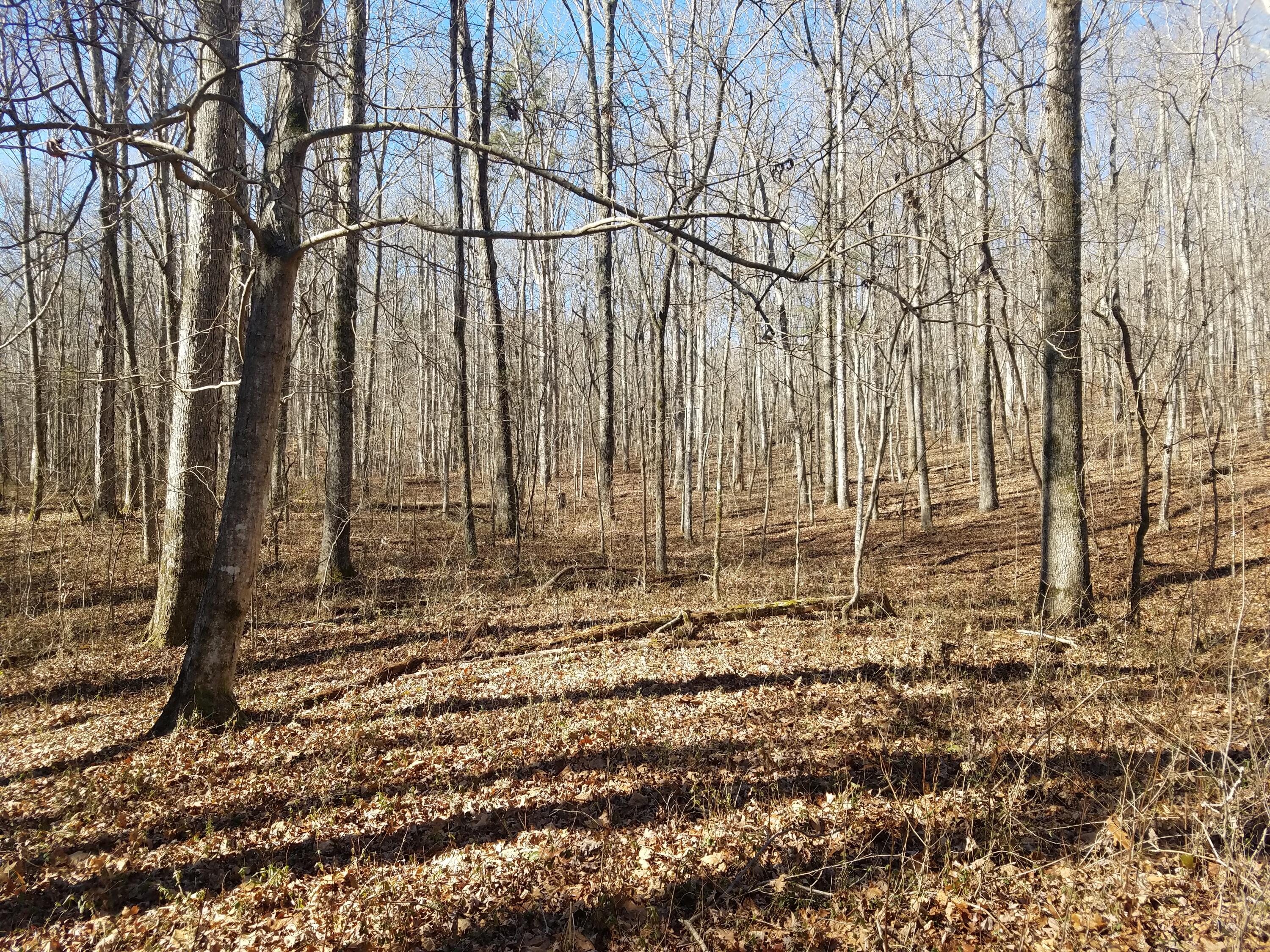 Farrs Road Kingston, TN 37763 - Photo 1 of 13 20210123_130845