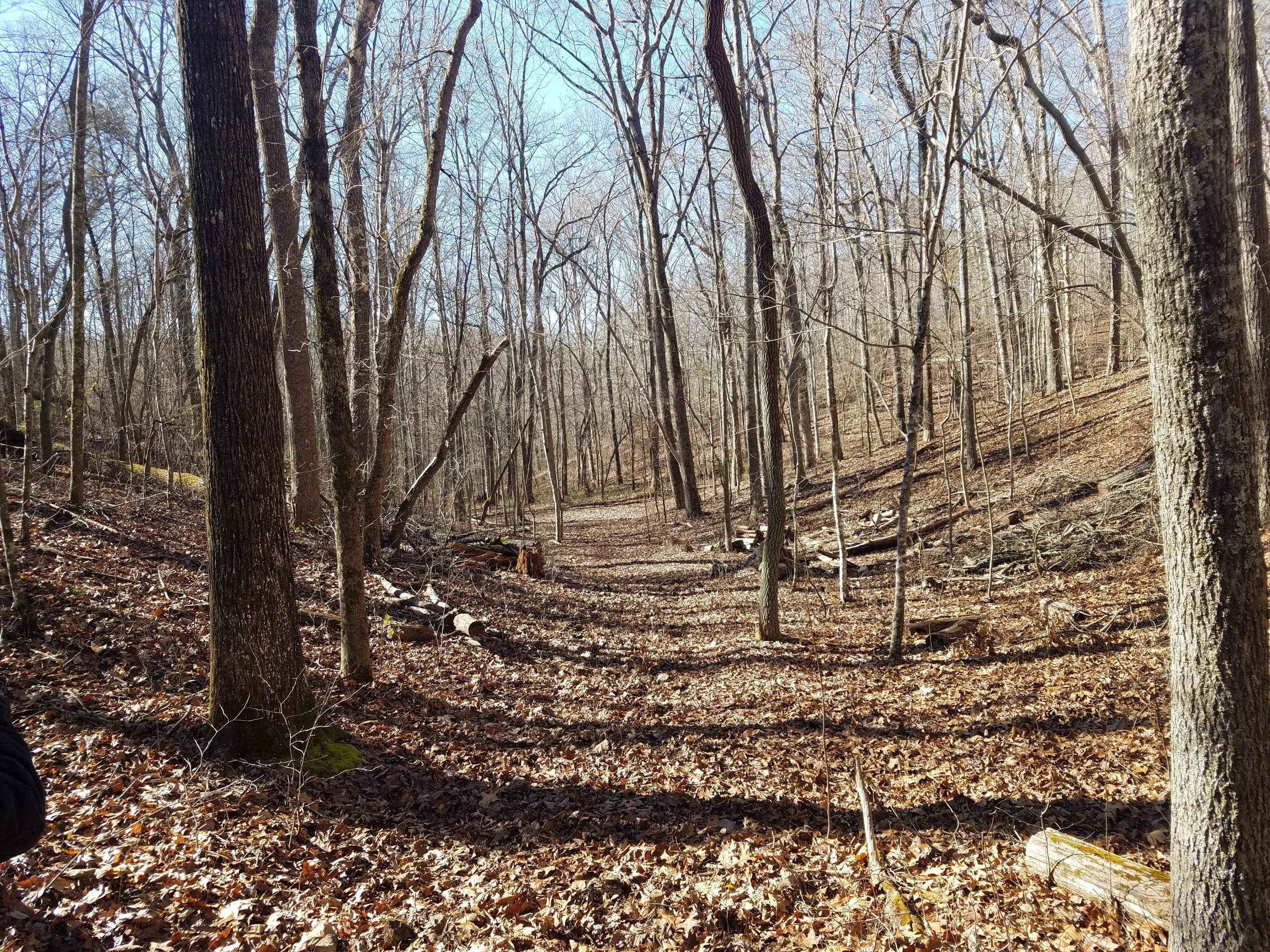 Farrs Road Kingston, TN 37763 - Photo 2 of 13 20210123_134857