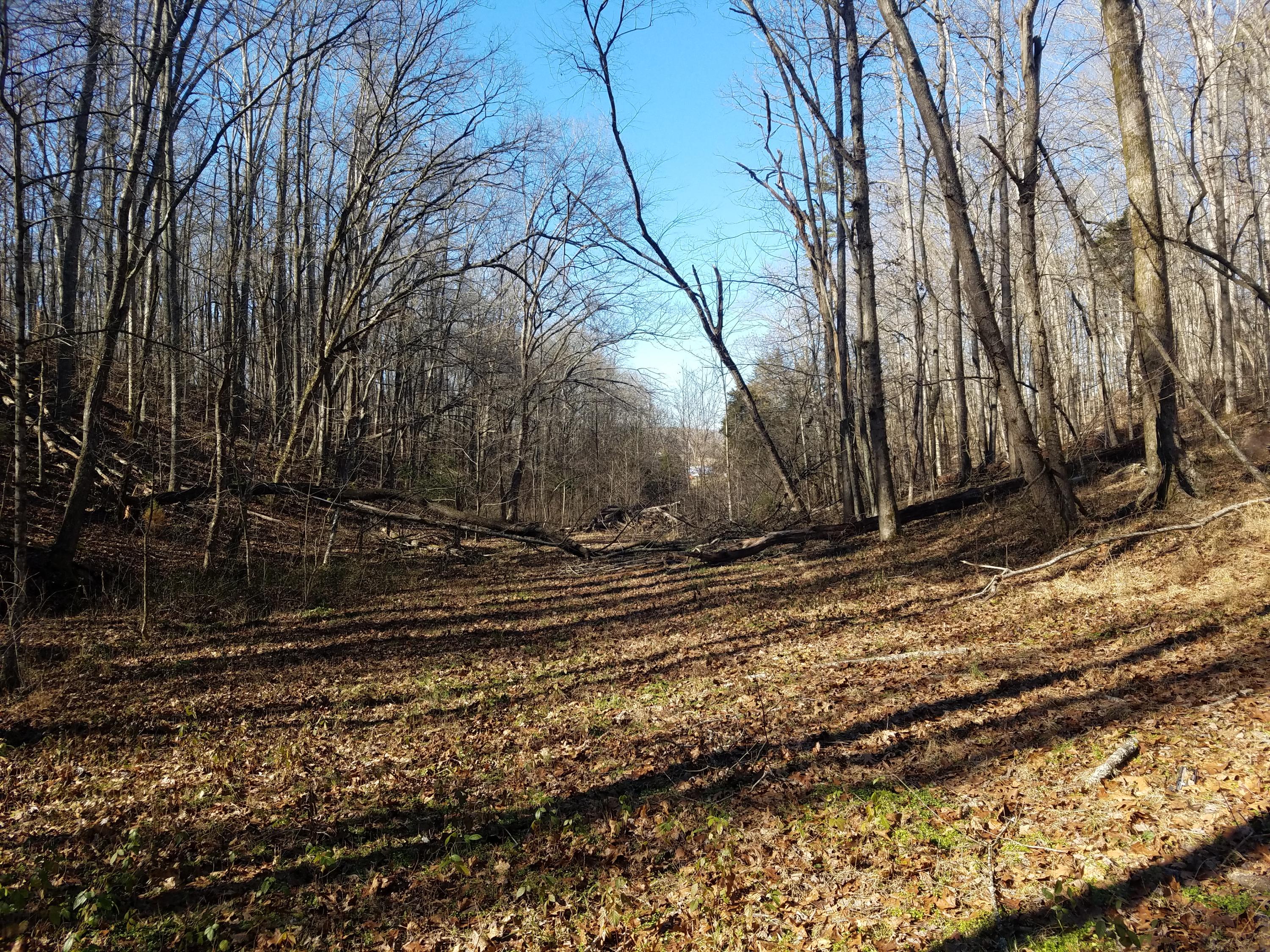 Farrs Road Kingston, TN 37763 - Photo 3 of 13 20210123_140039