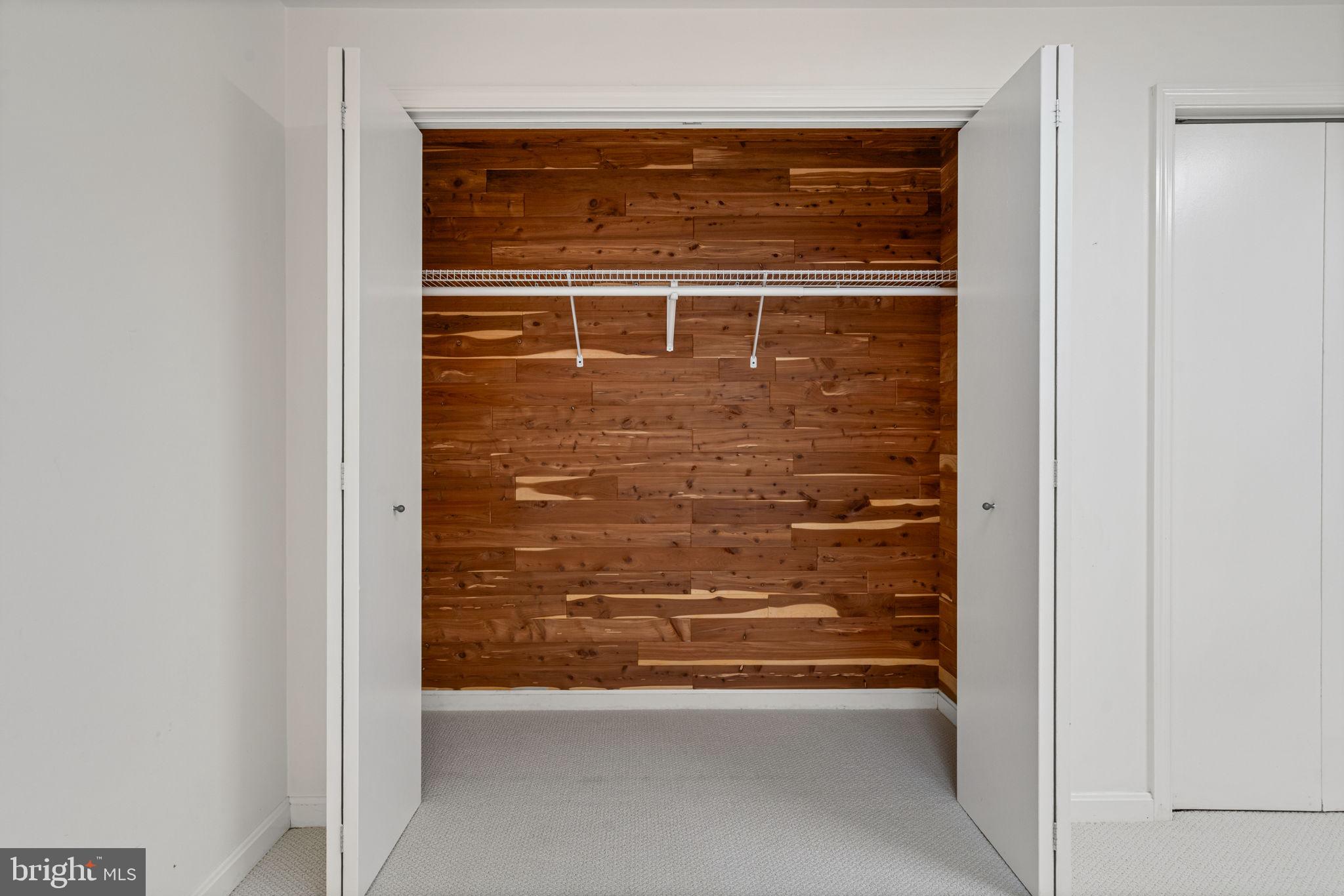6188 Cobbs Road Alexandria, VA 22310 - Photo 39 of 58 Cedar closet