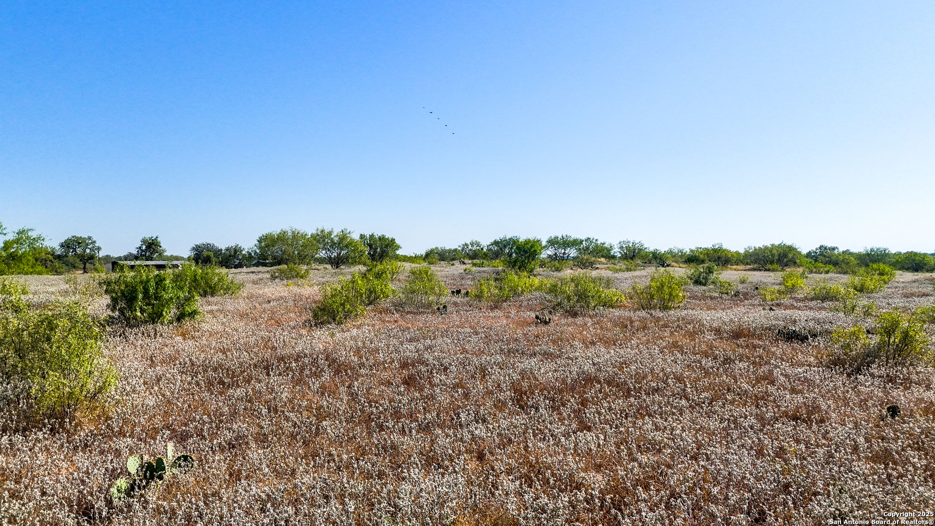 Fm 472nd Bigfoot, TX 78005 - Photo 31 of 46