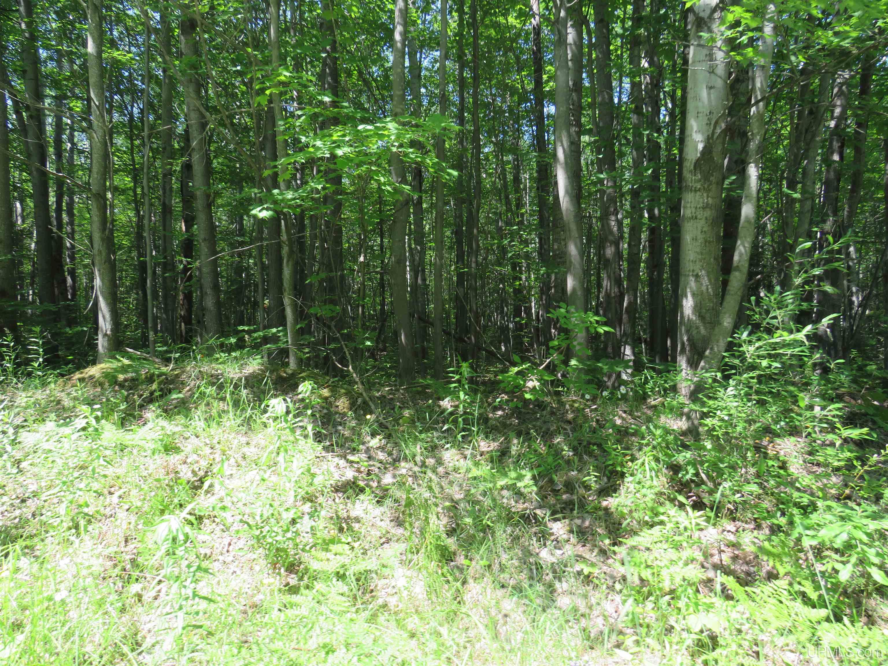 Tbd Curlew Road Ontonagon, MI 49953 - Photo 26 of 36