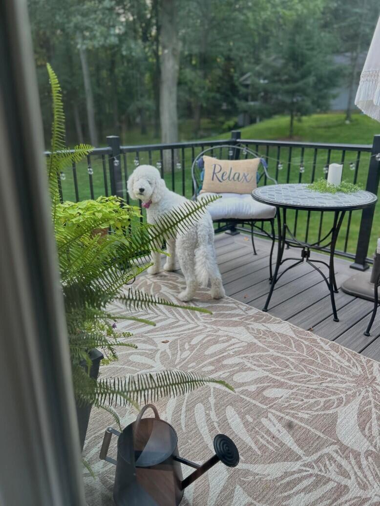 5135 Moscow Road Spring Arbor, MI 49283 - Photo 49 of 65 deck