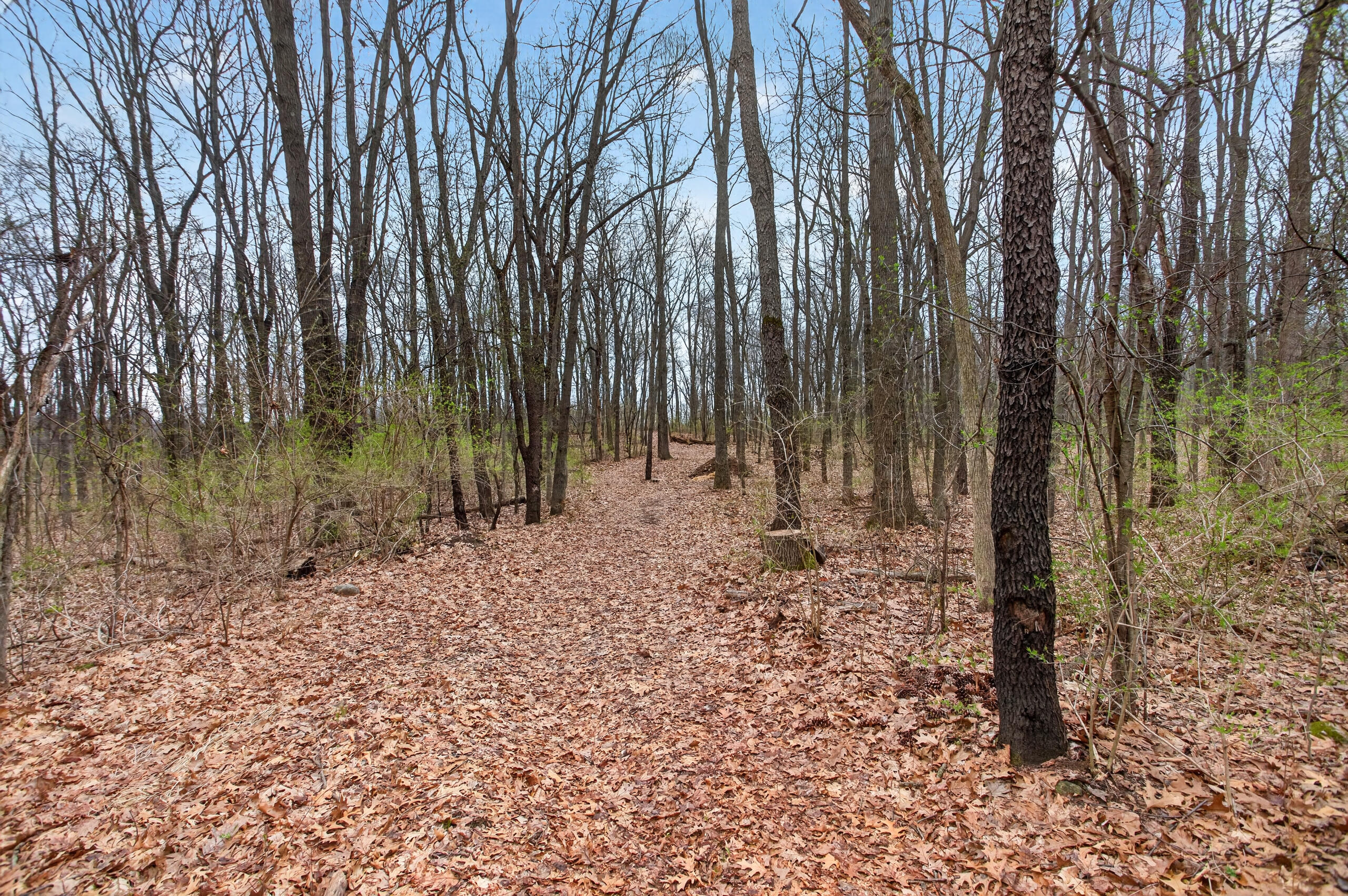 5135 Moscow Road Spring Arbor, MI 49283 - Photo 52 of 65 Nature
