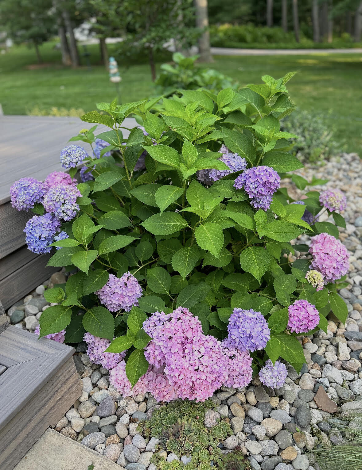 5135 Moscow Road Spring Arbor, MI 49283 - Photo 56 of 65 WOW