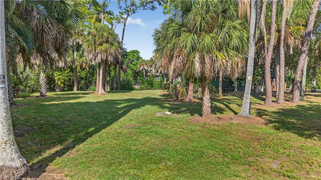 1675 Avion Place Naples, FL 34104 - Photo 3 of 18 a view of a park with palm trees