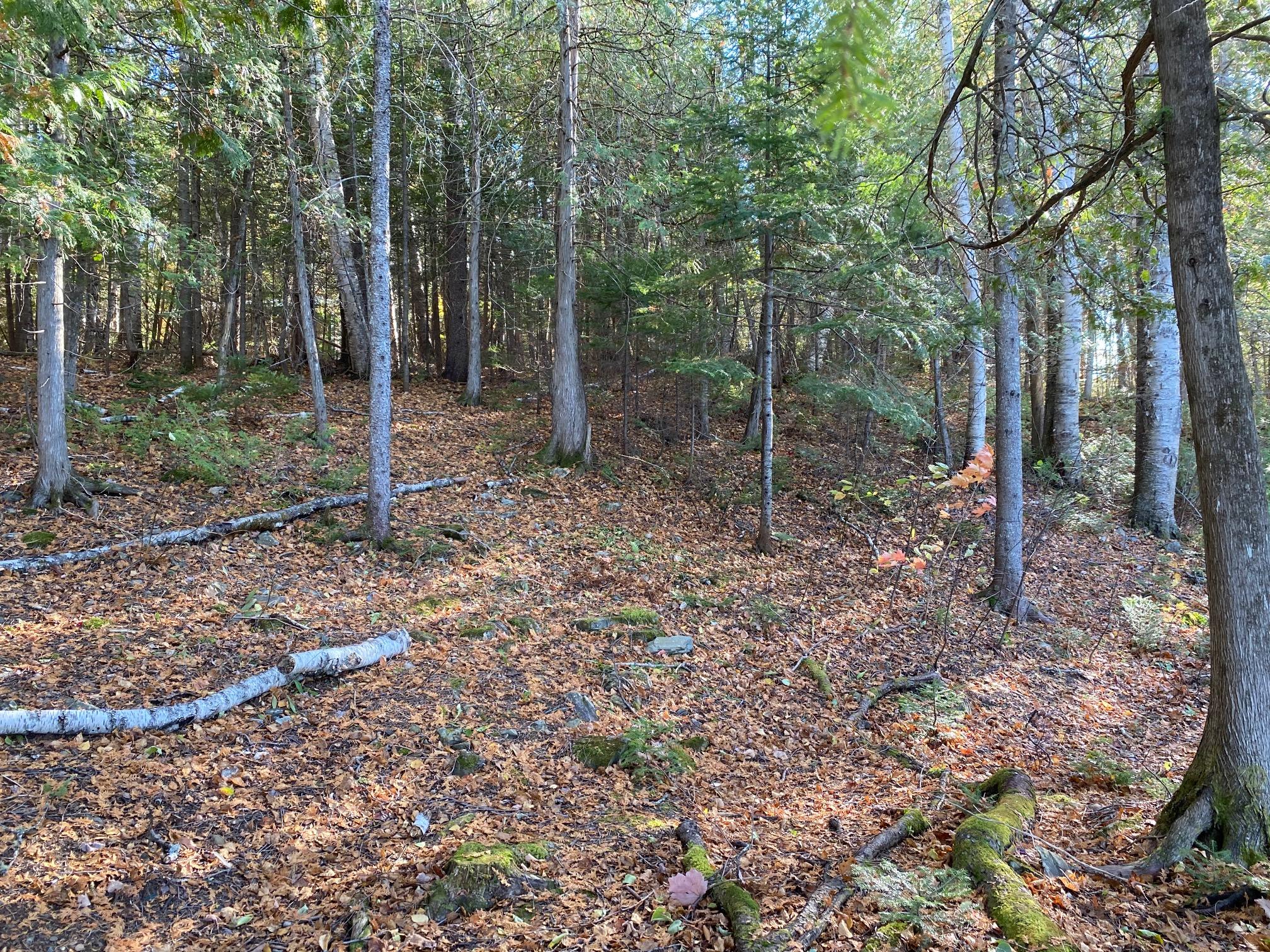 76 Spaulding Lake Road Oakfield, ME 04763 - Photo 12 of 13 Property Photo (76 Spaulding Lake Road)