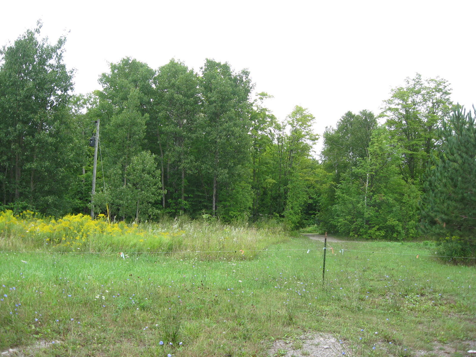 2901 Lacomb Road Alpena, MI 49707 - Photo 8 of 9 Gallery Image 8
