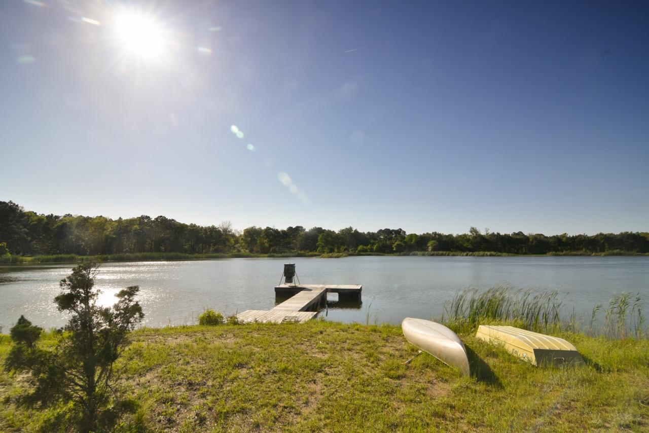 4420 Wando Farms Road Mount Pleasant, SC 29429 - Photo 5 of 34 back lake area dock