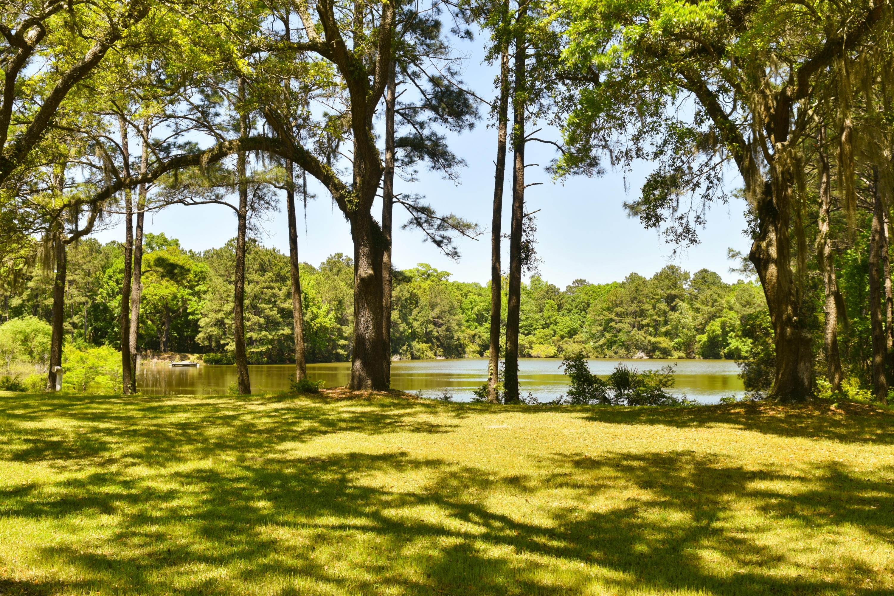 4420 Wando Farms Road Mount Pleasant, SC 29429 - Photo 7 of 34 front pond