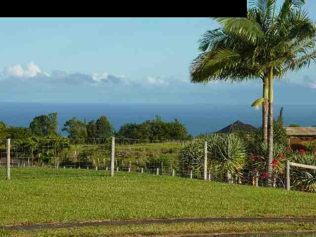 1454 Hog Back Road Haiku, HI 96708 - Photo 2 of 18 a view of a city